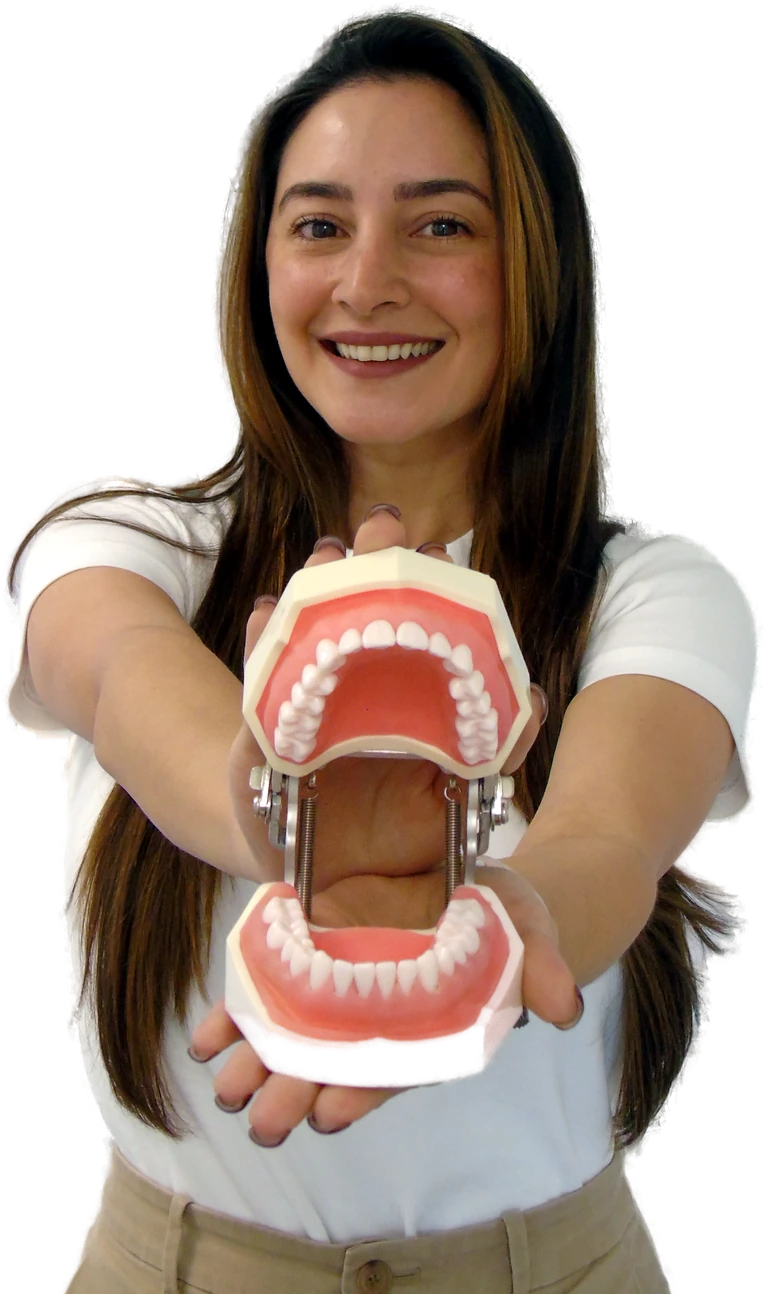 Student holding a dental typodont model