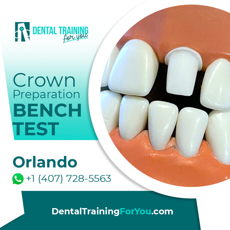 How to Become a Dental Assistant in Florida